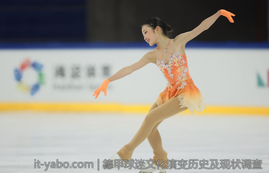 德甲球迷文化演变历史及现状调查
